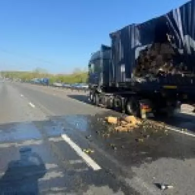 Prosecco Spills on M4 After Lorry Crash, Closing Highway for Hours