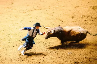 San Antonio Rodeo: Where Cowboy Culture Meets Texas Heritage