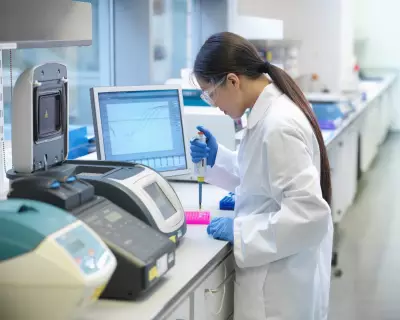 Social Science Research Faces Replication Crisis, Study Reveals