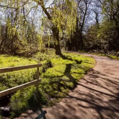 South London Park with Free Farm and Cult Film History