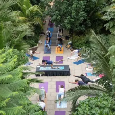 Sunset Yoga at Kew Gardens' Temperate House Offers Serene Spring Renewal