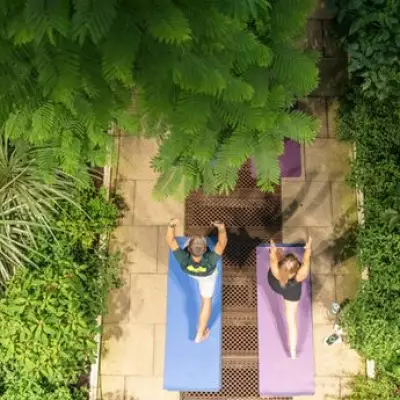 Sunset Yoga in Kew's Temperate House: Awe in a Cathedral of Plants