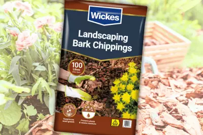 Wickes Bark Chippings Deal: Gardeners Rush to Grab 3 for £30 Offer