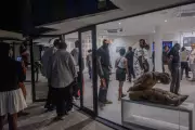 Abidjan Art Week Transforms City into Thriving Cultural Hub with Late-Night Events