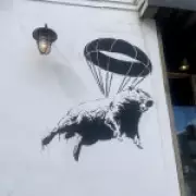 Banksy-Style Capybara Murals Appear Near Zoo Where Escaped Rodent Roams