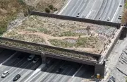 California Wildlife Bridge Nears Completion Amid Right-Wing Backlash