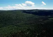 Canadian Judge Overturns Nova Scotia's Vague Woods Ban Amid Wildfires