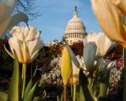 Congress Returns to Stalled DHS Funding Talks and High-Stakes Legislative Agenda