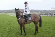 Constitution Hill's Flat Racing Move Sparks Horse Racing Attendance Boom