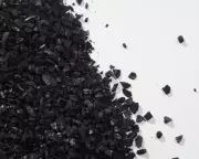 Does Activated Charcoal Help Houseplants? The Verdict
