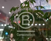 Dozens of UK Companies Face B Corp Status Loss After Certification Overhaul