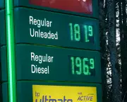 European Markets Plunge as Trump's Iran War Speech Sparks Economic Catastrophe Fears