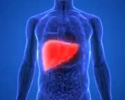 Experts Urge Higher Taxes on Alcohol and Junk Food to Combat Liver Disease Deaths in Europe