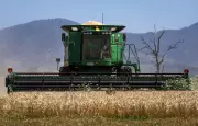 Fertiliser Shortage: Impact on Australian Farmers and Food Prices
