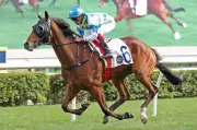 Galaxy Patch Aims for Redemption in Chairman's Trophy at Sha Tin
