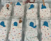 Global Fertility Crisis: Falling Birth Rates Threaten Economic Stability