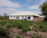 Gunmen Kill 29 at Football Pitch in Northeast Nigeria, Governor Says