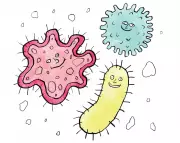 Gut Microbiome Diversity: Not the Simple Immunity Shield Once Believed