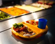 Healthier School Meals Pilot in England Sees 15% Drop in Uptake