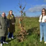 Homeowners Furious Over £33,000 Charge for Dead Trees in Kent Estate