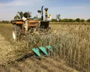 Hormuz Blockade Sparks Global Fertilizer Crisis, Threatening Food Security