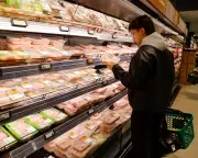 Households Slash Food Spending as IMF Warns of Global Recession Risk