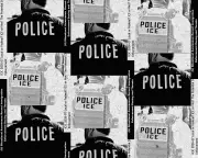 ICE Officers Pose Danger to US Police, Report Finds