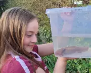 Injured Axolotl Rescued from Welsh River on Road to Recovery
