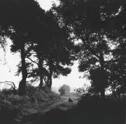 Johnnie Shand Kydd: From YBAs to Dog Walks in Suffolk