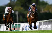 Karl Burke Targets Newbury Double with Convergent and Alparslan