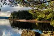 Kielder Forest: Northumberland's Dark Sky Sanctuary