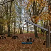 Langdon Hills Country Park: Award-Winning Essex Escape with Panoramic London Views