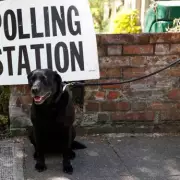 Local Elections 2025: London Voter Guide and What to Expect