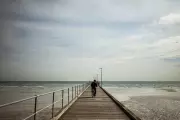 Mornington Peninsula: Liberals Face One Nation and Independent Threat