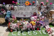 Musician D4vd Arrested for Murder of Teen Celeste Rivas Hernandez in LA Case
