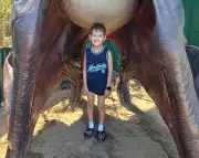 NDIS Cuts Leave Autistic Children Without Alternatives