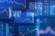 New Hedge Funds Target Individual Investors as 75 Line Up Separate Accounts