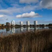 North London's Premier Family Walk: Scenic 8.7km Route Guarantees 10,000 Steps