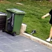 Pet Sitters Convicted for Abusing Dogs While Owners Were on Holiday