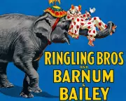 Saturday Quiz: From PT Barnum's Elephant to Boudicca's Burial Sites