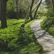 Scenic South London Thames Walk: 6 Miles of Nature, History & 10,000 Steps