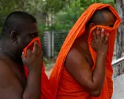 Sri Lankan Police Arrest 22 Buddhist Monks in Record Cannabis Bust at Airport