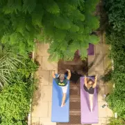 Sunset Yoga in Kew's Temperate House: Awe in a Cathedral of Plants