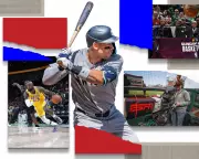 The High Cost of Fandom: How Streaming Splintered Sports TV