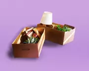 The Joy of Clutter: Why a Messy Home Reflects a Life Well Lived