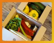 Top Recipe Boxes and Meal Kits for Busy Food Lovers in 2026