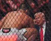 Trump Attends UFC Event Amid Failed Iran Peace Talks, Plans White House Fight