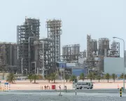 UAE Quits Opec: A Blow to Cartel, but Fossil Fuels' Price Still Too High