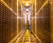 UK Biobank Data Sale Raises Privacy Concerns for 500,000 Volunteers