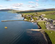 UK's Largest Oyster Rewilding Project Launches in North Sea